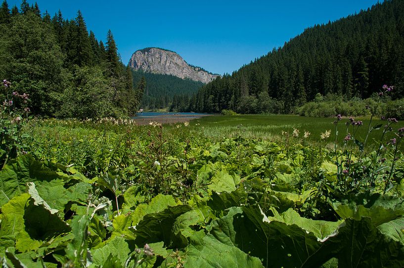 Lacu Rosu (red lake) in Romania by Jaco Visser