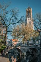Domtoren in de herfst