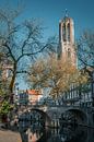 Domtoren in de herfst van Mike Peek thumbnail