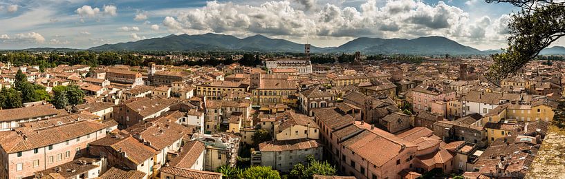 Panorama über Lucca - Italien von Damien Franscoise