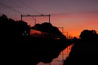 Trein met weerspiegeling tijdens zonsondergang I Haarlem I NS Sprinter van Floris Trapman thumbnail