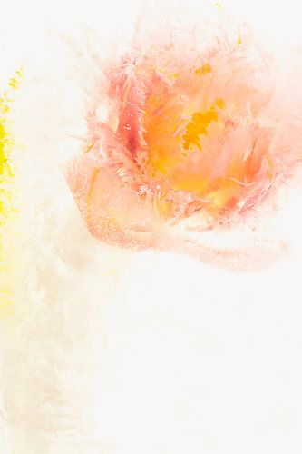 Gefiederte Tulpe in Eis 3