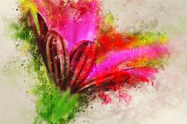 Pink flower by Sharon Harthoorn