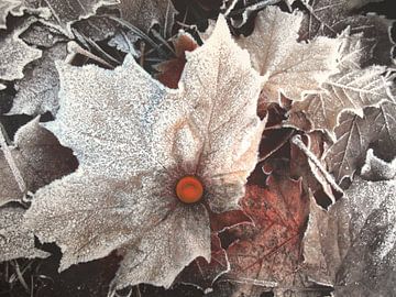 Winter - Frost - Blätter von Edeltraut K. Schlichting