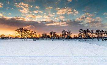 Gouden randje aan de winter 1