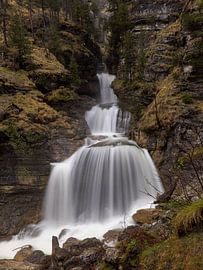 In the cow escape by Christina Bauer Photos