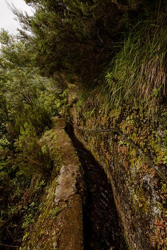 Madère au calme – Sentier de levada