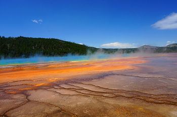 Kleurrijke warmwaterbron in Yellowstone National Park