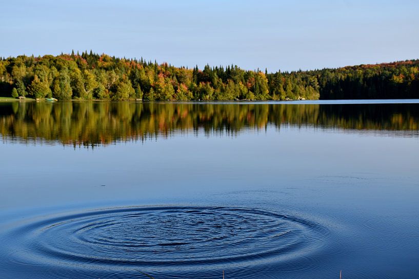 Spiegelung auf dem See im Herbst von Claude Laprise