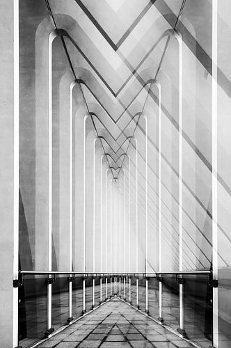 Liège-Guillemins station by Santiago Calatrava