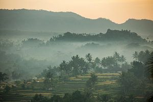 Foggy rice fields in Sideman on Bali in Indonesia sur Michiel Ton