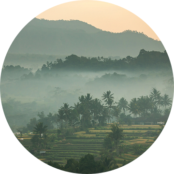 Uitzicht op mistige rijstvelden in Sidemen op Bali in Indonesië (gezien bij vtwonen) van Michiel Ton