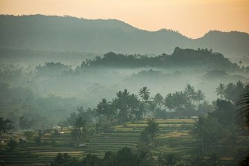Uitzicht op mistige rijstvelden in Sidemen op Bali in Indonesië (gezien bij vtwonen) van Michiel Ton