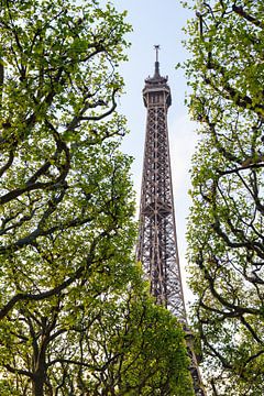 Groene lente Eiffeltoren van Dennis van de Water