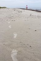 Footsteps in the sand