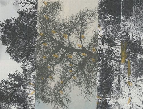 Merveille du paysage