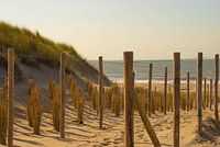 De duinen