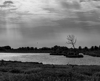 Black-and-white water landscape