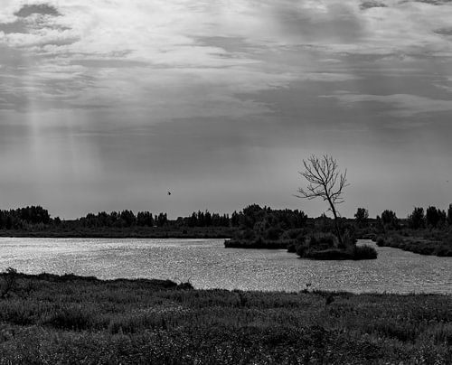 Black-and-white water landscape by M.J. Lagerwerf