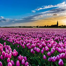 Dutch Tulips van Jan Mulder Photography