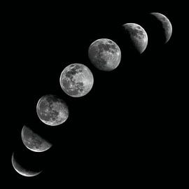 Moon Cycle by Cats & Dotz