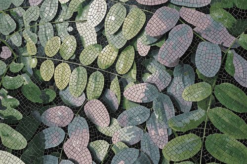 'Blocked Leaves': a botanical mosaic