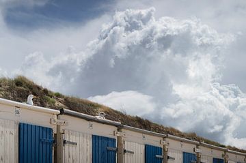 Strandhuisjes en meeuwen aan de kust van Thom Brouwer