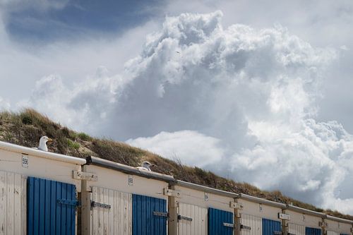 Strandhäuser und Seemöwen an der Küste von Thom Brouwer