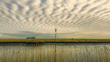 Nieuwe Statenzijl van Reint van Wijk