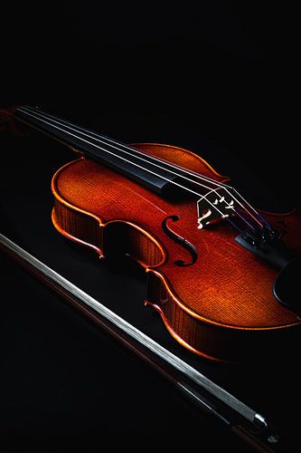 Viool met strijkstok