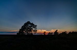 Sunset Holterberg by Arnold van Rooij