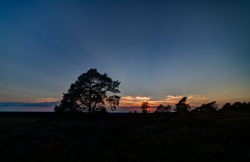 Sunset Holterberg by Arnold van Rooij