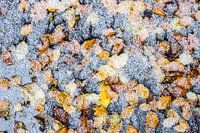 Tempête de grêle d'automne