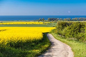 Blick auf die Ostsee in der Nähe von Kühlungsborn