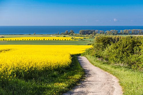 Uitzicht op de Oostzee bij Kühlungsborn