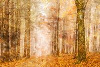 Autumn forest in watercolour