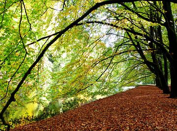 Natuurlijke ereboog by Bob Bleeker