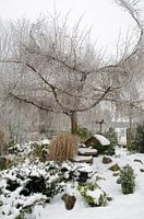 Winterlandschap