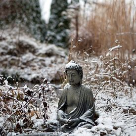 Little Buddha im Winter von t.ART
