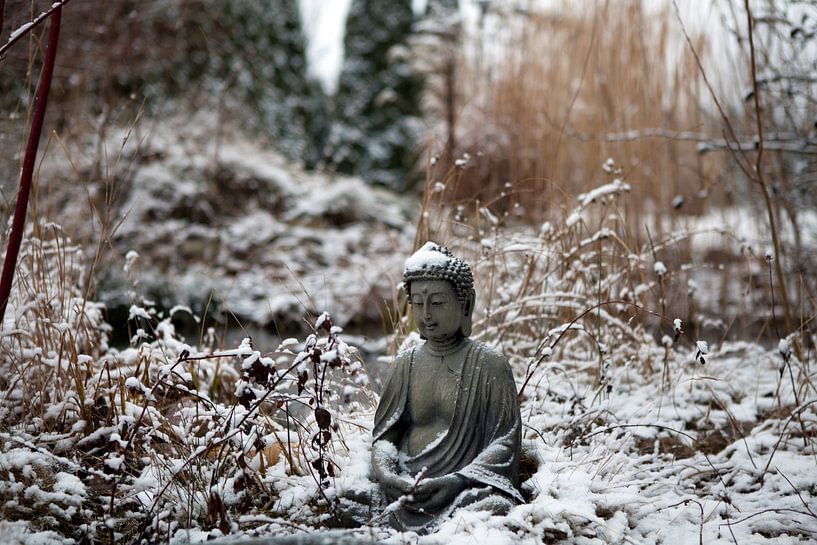 Kleine Boeddha in de winter van t.ART