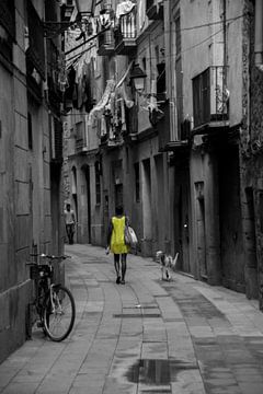 Barcelona: vrouw met hond van Cathy Janssens