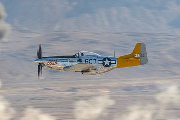 North American P-51D Mustang "Spam Can - Dolly van Jaap van den Berg