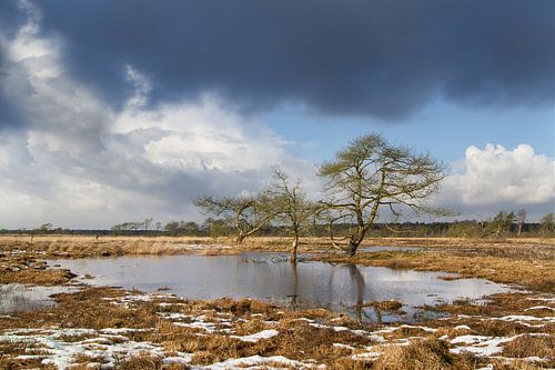 Ven op de Heide 