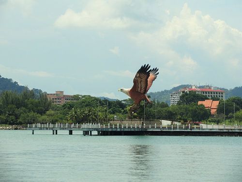De beroemde Langkawi adelaar
