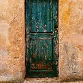 Ancienne porte en bois vert méditerranéen sur Dafne Vos
