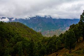 Nature in la Palma by Yara Verstappen