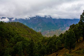 Natur in La Palma