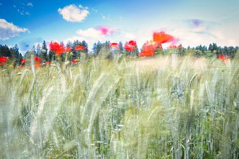 Carried away by the breath of the wind