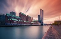 Zonsondergang Spoorweghaven Rotterdam van Ilya Korzelius thumbnail