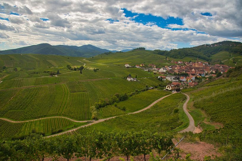 Vignobles près de Niedermorschwihr en Alsace par Tanja Voigt